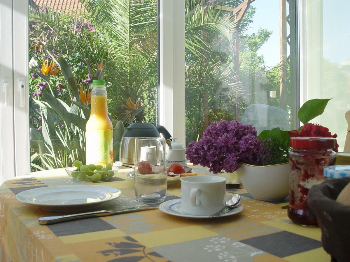 Privatzimmer Mit Aussicht Pirna Extérieur photo